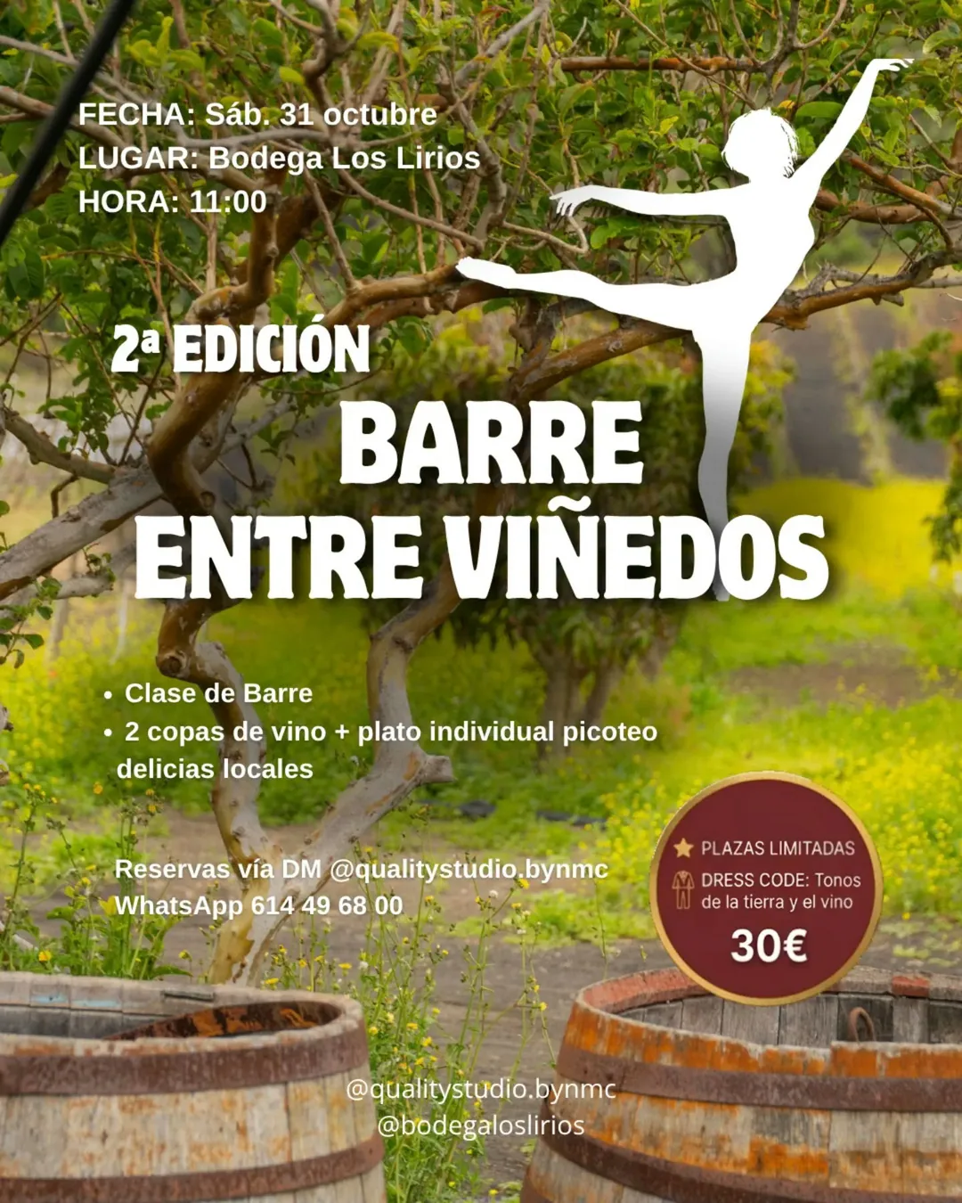 Cartel de Barre entre Viñedos - 2ª Edición