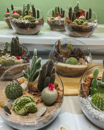 Tu Jardín Suculento: sus terrarios de suculentas