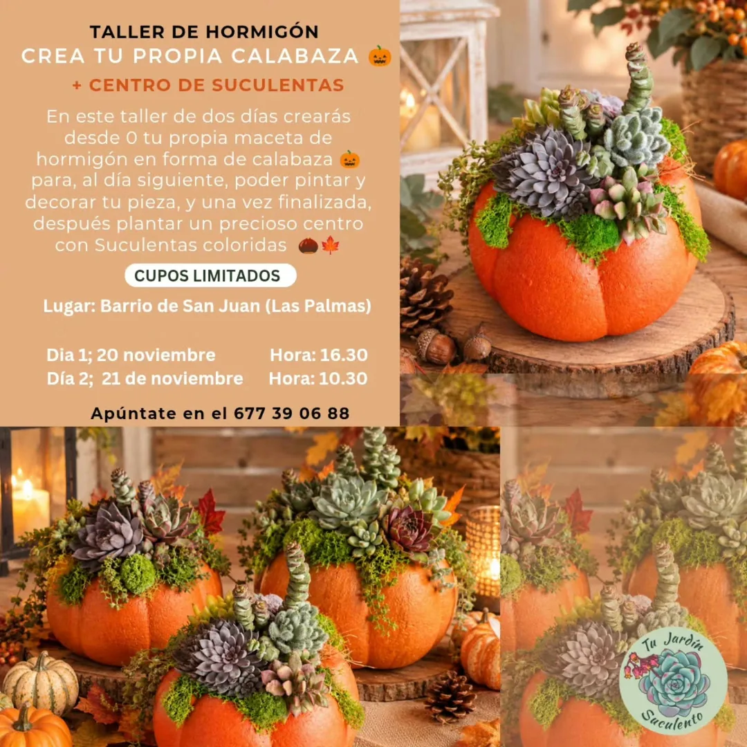 Cartel de Taller de Hormigón Crea tu Propia Calabaza + Centro de Suculentas