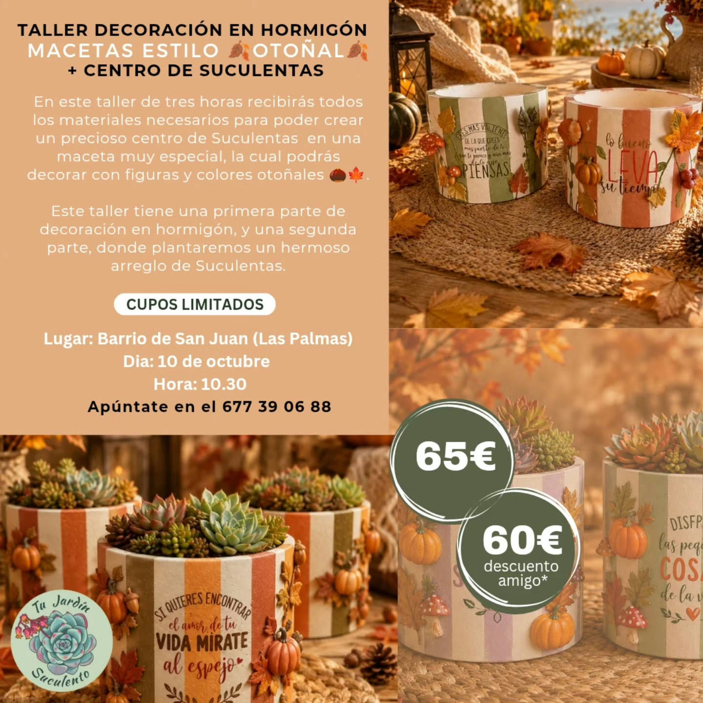 Imagen de la publicación: Taller decoración en hormigón macetas estilo otoñal + centro de suculentas
