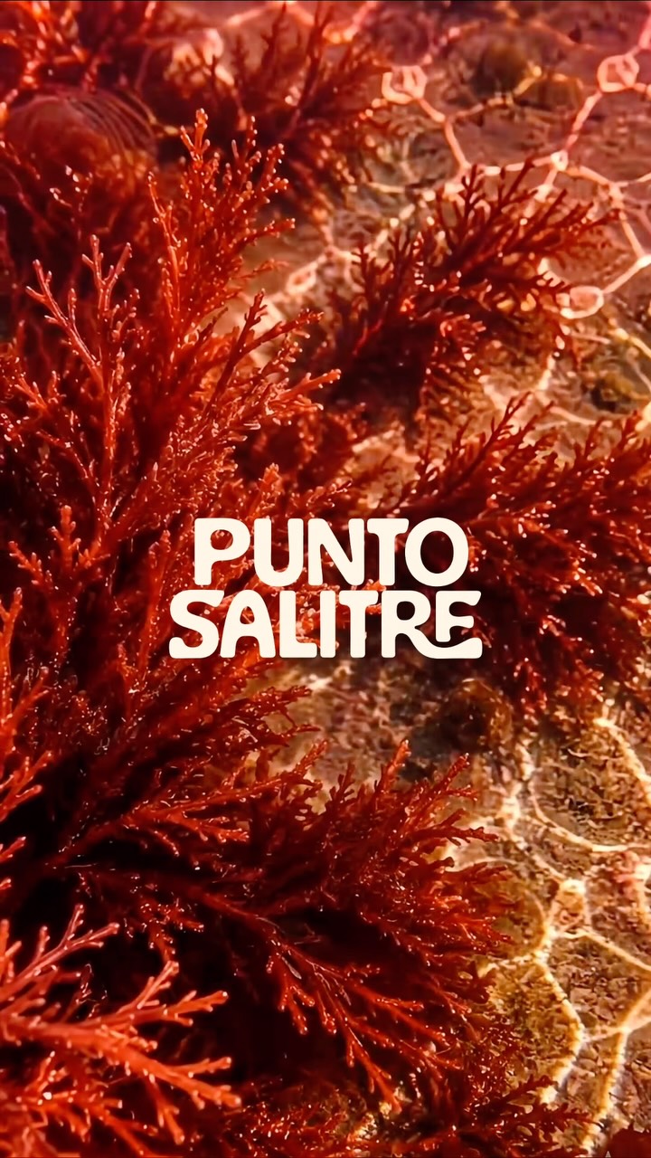 Próximamente.