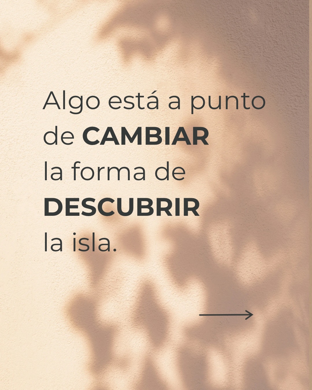 Una isla llena de vida 🌊