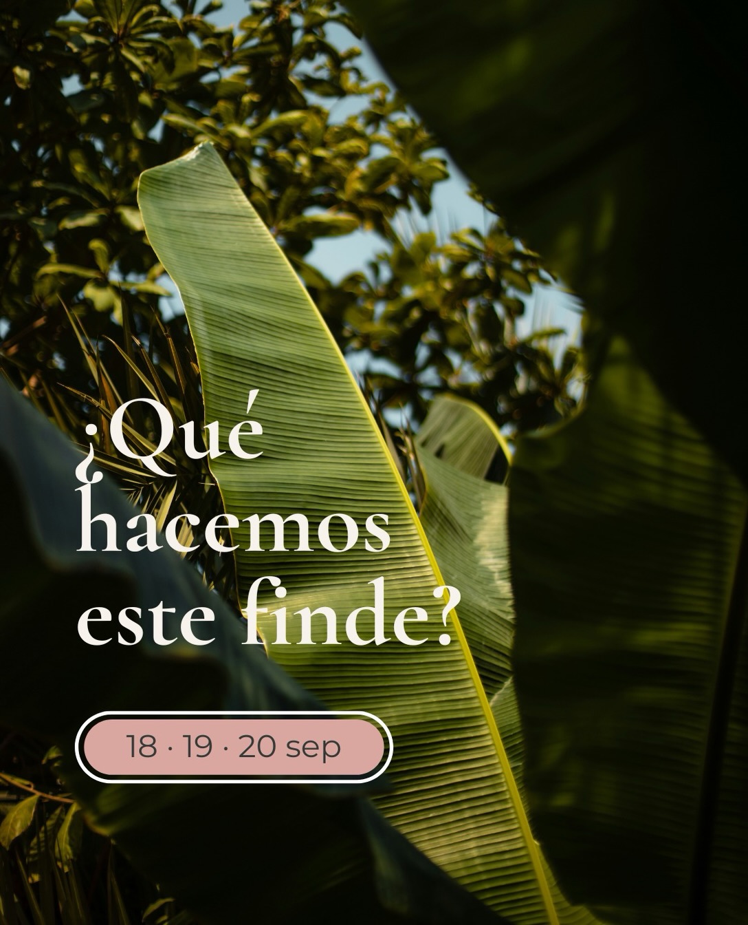 ¿Qué hacemos este finde?